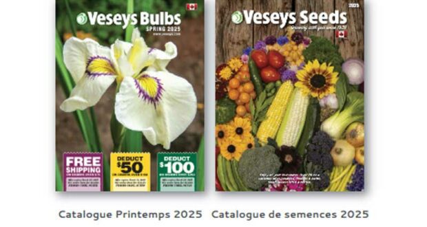 Recevez gratuitement chez vous les Catalogues Veseys 2025